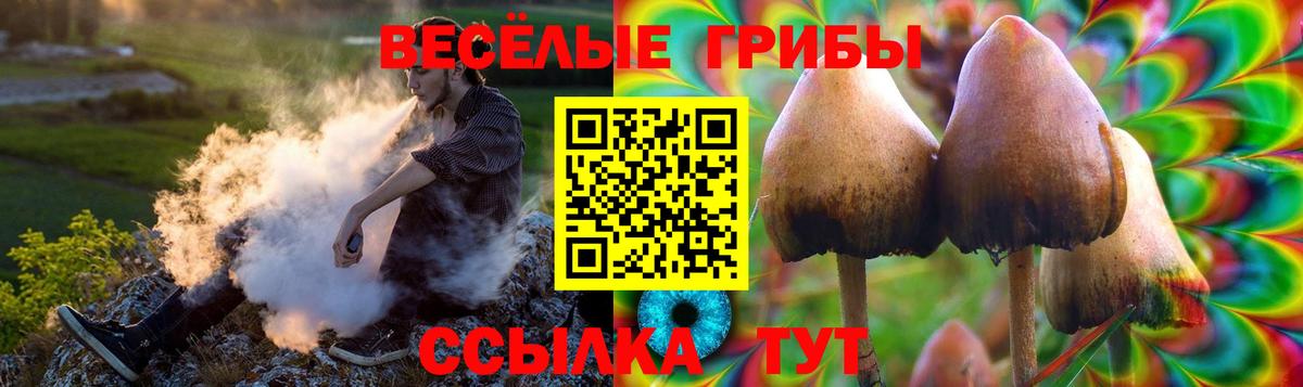 Галлюциногенные грибы Cubensis Губаха