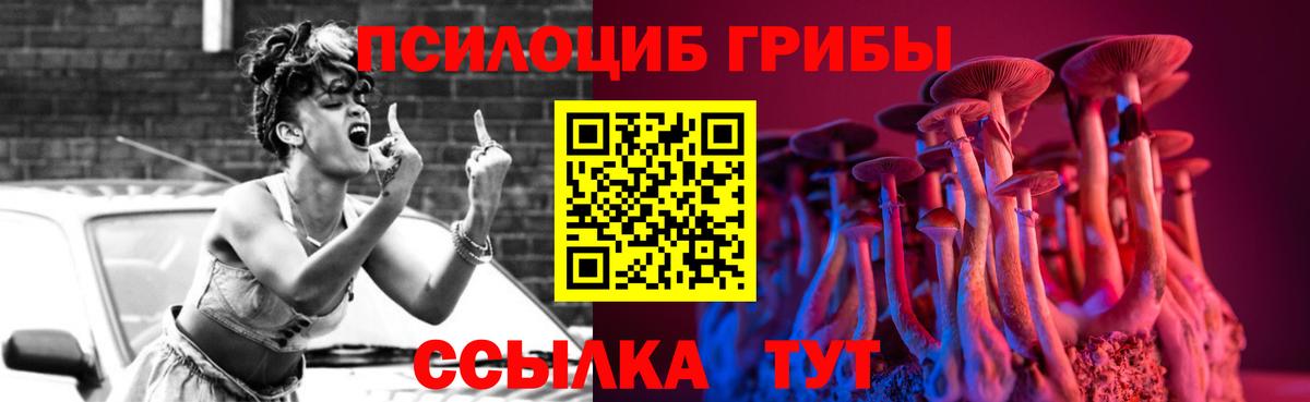 Губаха  Псилоцибиновые грибы Cubensis  Вход с VPN 